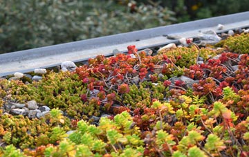 the cost of Key Street green roof installation