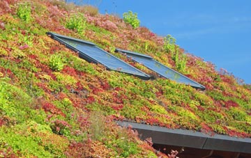 Key Street living roof systems